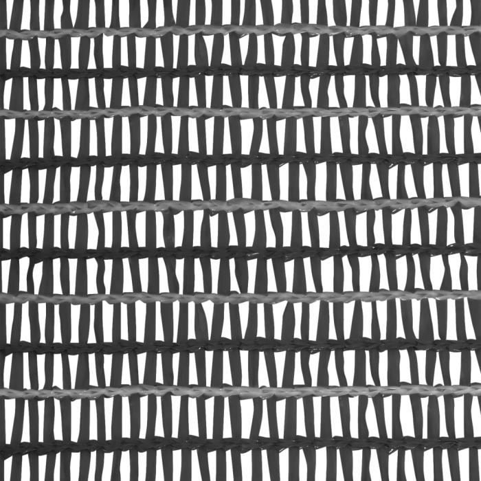 VidaXL Filet brise-vue Anthracite 2x50 m PEHD 135 g-m² 149295