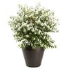 Decorațiuni pentru casă – Ghivece de flori decorative