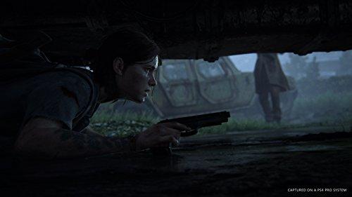 [PS4] The Last of Us Part II [CERO Rating "Z"]