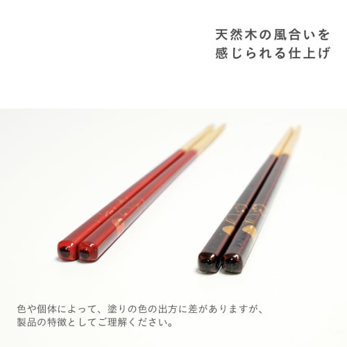 Fujiei (FUJIEI) Truly Non-Slip Chopsticks, Premium, 23cm, Owl Design, Brown | Dishwasher Safe | Easy To Grasp Konjac | Chopsticks Crafted by Chopstick