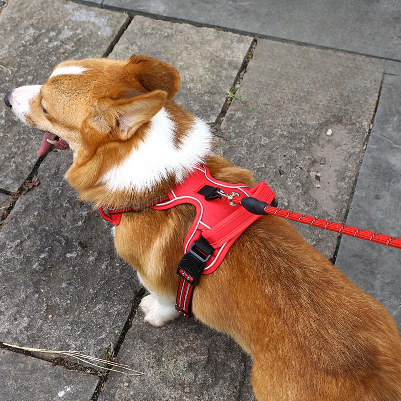 Dog Walking Pet Strap Universal Reflective Vest Dog Leash Chest Back