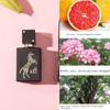 30ml Men's Arabian Horse Perfume Middle Dubai Premium Perfume