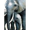 DIY Elephant 5D Diamond Maling Full Rund Drill Animal Diamond Brodery Rhinestone Art Mosaic Home Decoration Håndlaget gave