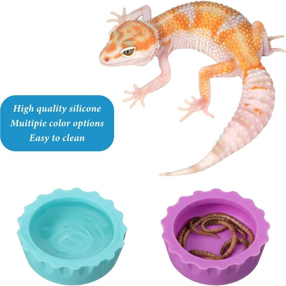 6pcs Silicone Feeding Dish Reusable Gecko Feeding Cups BPA Free Small Reptile Bowl  Pet Supplies