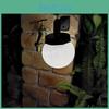 Modern Outdoor Led Wall Light Glass Stainless Steel Globe Design Ip44 Certified