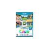 Nintendo Co. – Wii