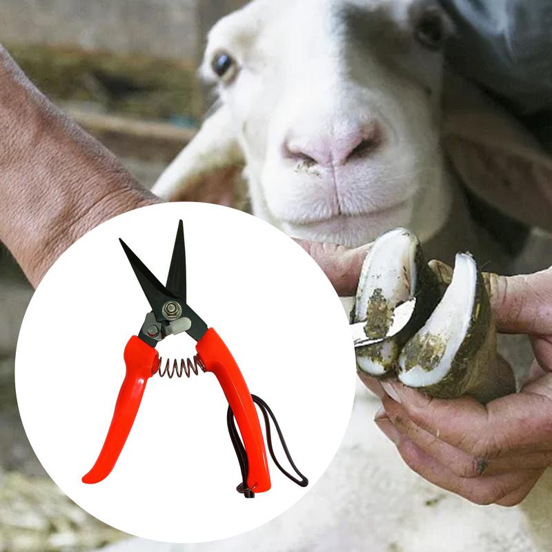 Forbici per zoccoli di pecora Potatura arbusti piante floreali Forbici da potatura da giardino Forbici per zoccoli di capra Tagliaunghie per alpaca agnello maiale