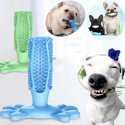 grinders dental chews