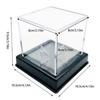Dustproof Baseball Box Acrylic Storage Box Baseball Softball Baseball Display Case  Golf Tennis