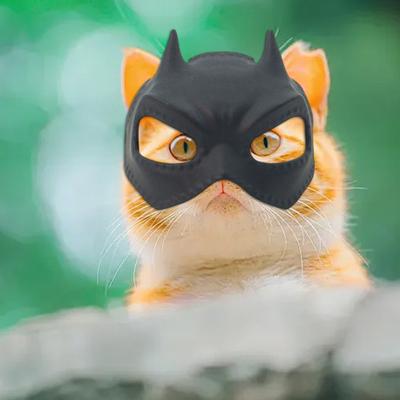 Netopýří Kočka Superhrdinská Maska Nastavitelný Elastický Pásek Kočka Maškarní Maska Halloween Domácí Mazlíček Cosplay Kostýmní Doplněk