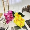 Phalaenopsis Artificial Potted Plant Silk Fabric Material Props Photography