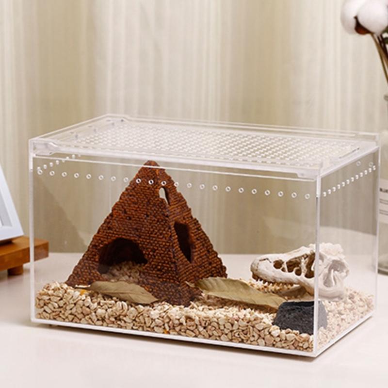 Reptile Box Feeding Small Pet Horned Spider Lizards Snail Snake Clear Designed Box Geckos Silkworms Insect Snake House