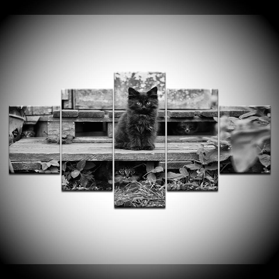 Cats Kittens animal 5 Piece HD Wallpapers Art Canvas Print modern Poster Modular art painting for Living Room Home Decor