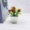 Fruit Red Orange Chili Pomegranate Simulated Potted Artificial Flower Plastic
