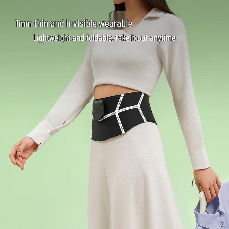 LERAVAN Mid-Frequency EMS Waist & Abdominal Massager with Heat