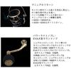DAIWA (DAIWA) spinning reel 23BG SW 4000D-CXH