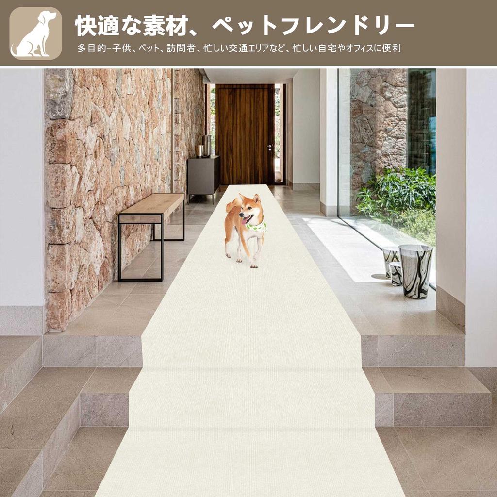 XIWEIYI Hallway 60 x 5mm Cream White Non-Slip Carpet, Washable, Adhesive, 600cm, Thick,