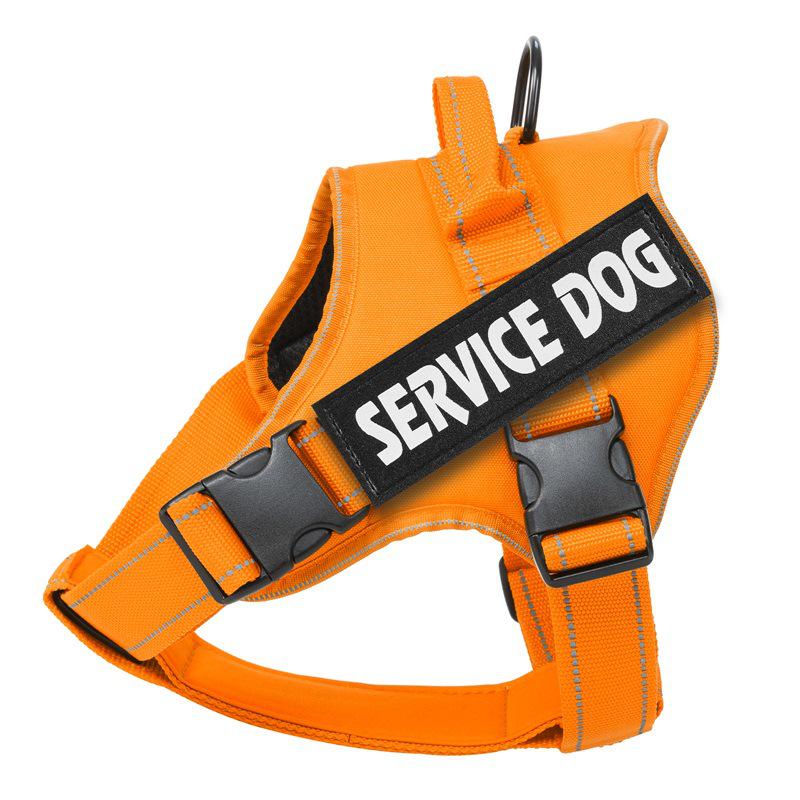 Dog Leash Spot: Medium/Large Labrador Vest-Style Harness
