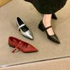 Mary Jane Women Shoes Pointed Toe High Heels Sandals Summer 2025 New  Dress Chunky Shoes Sexy Pumps Mujer Zapatos