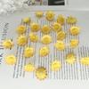 2cm Mini Wild Sunflower Daisy Mori-Style DIY Wreath Accessories