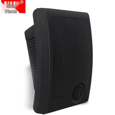 Diyou 570 Indoor Wall-Mounted Speaker CN Plug (adapter Included)