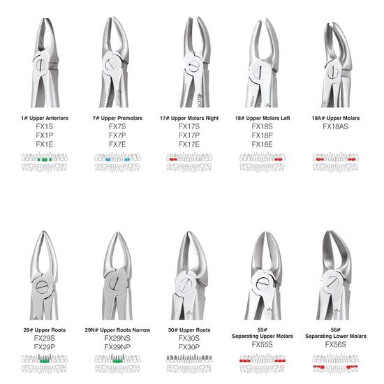 GDC Extraction Forceps Standard