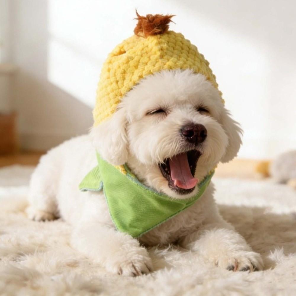 Cute Winter Dog Cap Funny Pet Headgear Pet Supplies Pet Corn Hat  Training