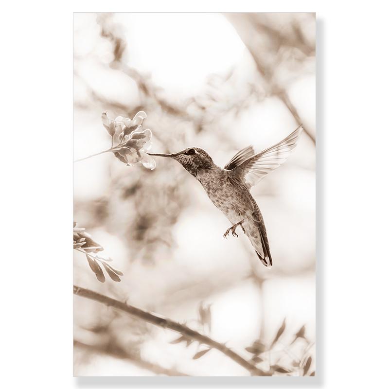 Landscape Scandinavian Nature Canvas Painting Flower Grass Beach Bird Wall Art Poster Nordic Print Modern Home Decor Picture