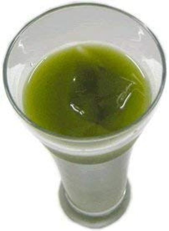 Ikegawaen Chaho Commercial Green Tea 1kg