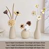 Cream Style Decorative Vases for Living Room, Bedroom, or TV Cabinet with Dried Flowers
