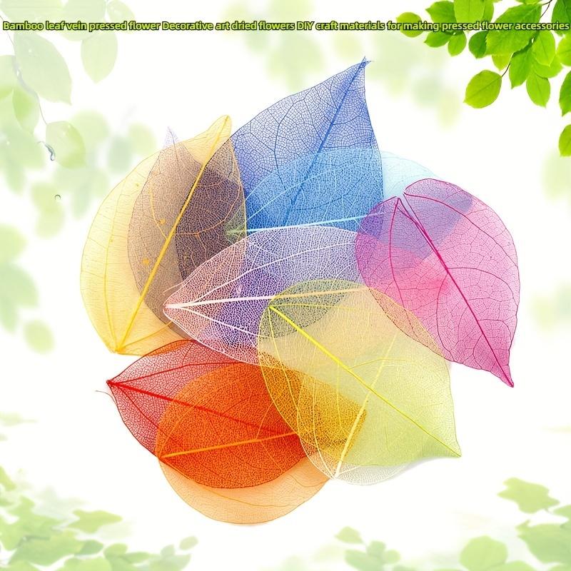 10pcs Colorful Diamond-Veined Pressed Flowers, Decorative Art Dried Flowers, DIY Handmade Materials For Making Accessories