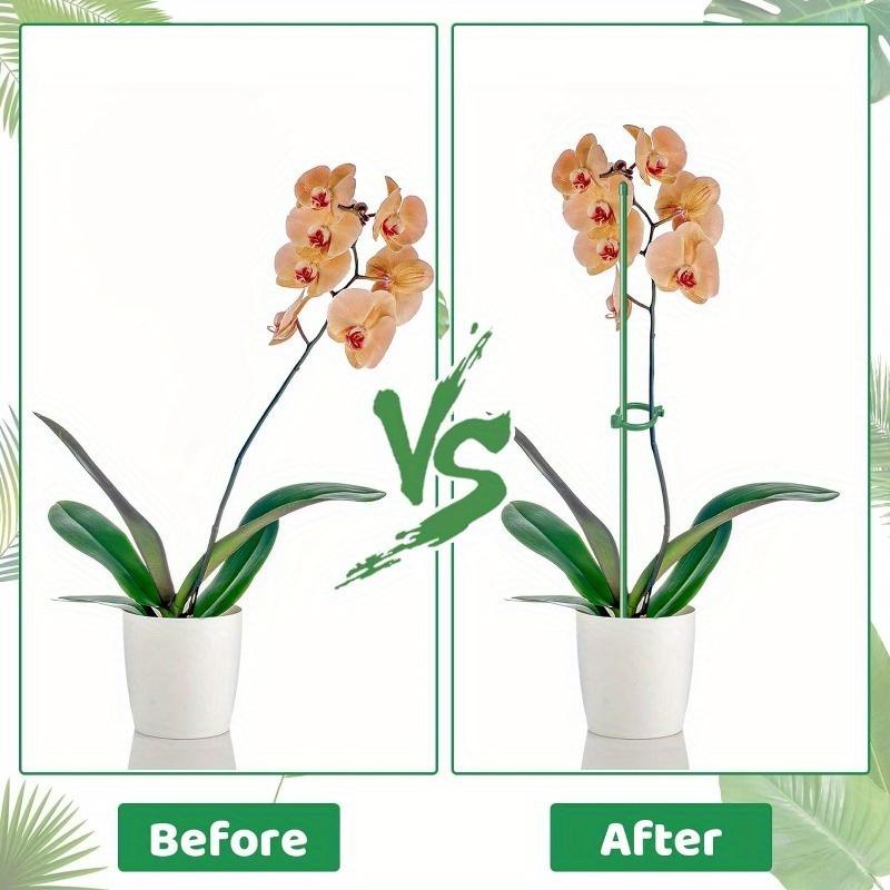 28 Pcs Adjustable Plant Support Sticks with 28 Rings and 14 Connectors for Indoor Outdoor Plants Potted Flowers Tomato Rose.