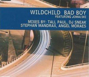 

CD WILDCHILD - Bad Boy 5716072 Polydor 1998 UK Танцевальная и Электронная музыка Б/У