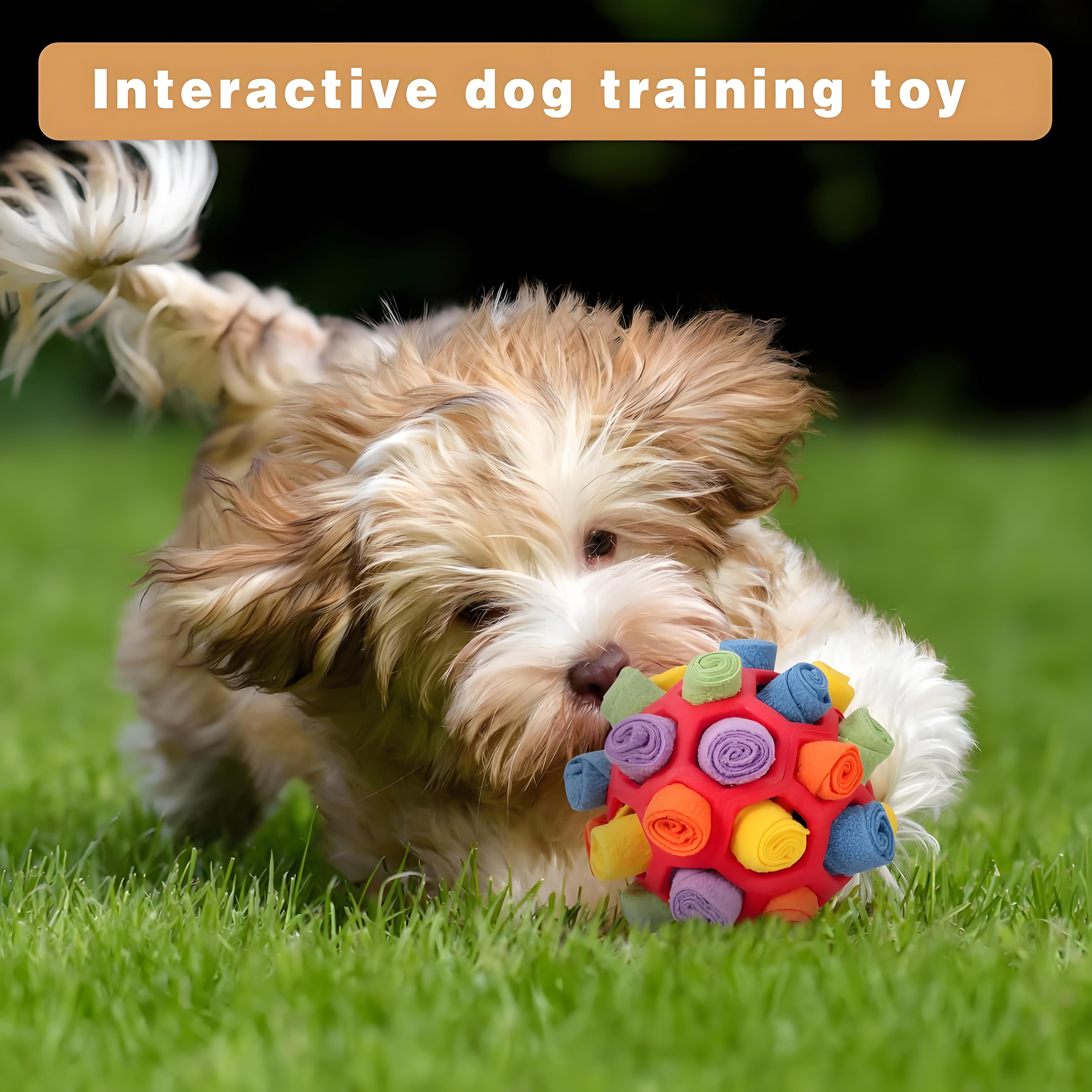 Palla snuffle per cani per stimolazione mentale | Giocattolo puzzle con premi resistente al morso | Gioco di arricchimento per cani di piccola e media