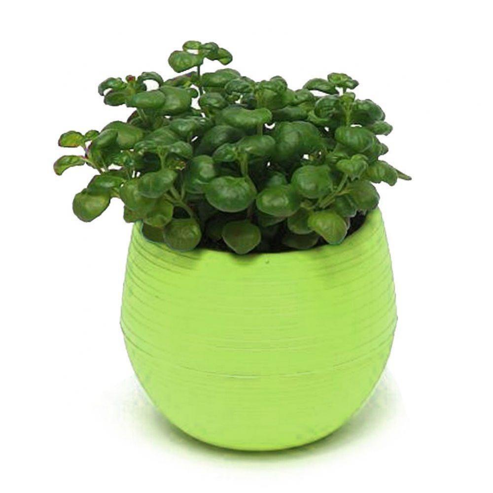 2 Layer Drain Hole Succulent Pot Mini Flower Pot Desk Green Plant Flowerpot Nursery Pots Home Garden Decoration Planters