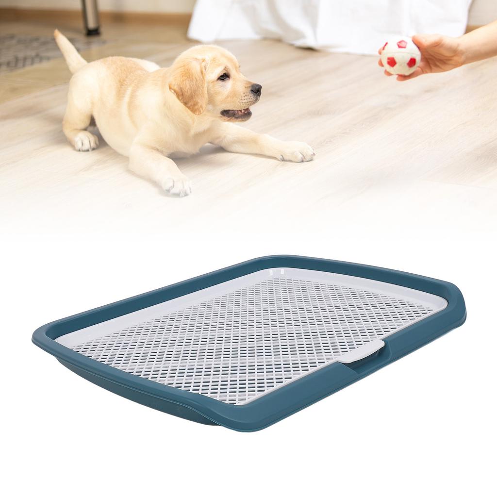 Vassoio per l'addestramento alla toilette per cuccioli Rete lavabile rimovibile Vassoio porta-assorbenti per urina per cani di piccola taglia