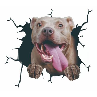 3D Köpek Çatlak Etiket PVC Plastik Etiket Araba Pencere Çıkartması Dizüstü Bilgisayar Komik Çıkartmaları