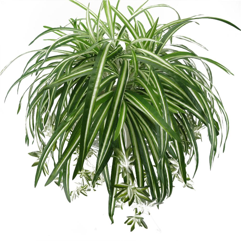 Artificial Chlorophytum flor de seda orquídeas planta montaje en pared simulación decoración de ratán