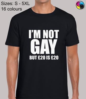 Im Not Gay But Funny Novelty Regular Fit T-Shirt Top TShirt Tee for Men
