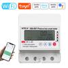 Tuya WiFi Intelligente Contatore Fotovoltaico Interruttore Timer Multifunzionale Solare Bidirezionale Ora