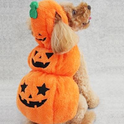 Oblečení pro mazlíčky Podzimní a zimní Oblečení Halloween Čaroděj Transfigurace Mikina s kapucí Oblečení pro psy