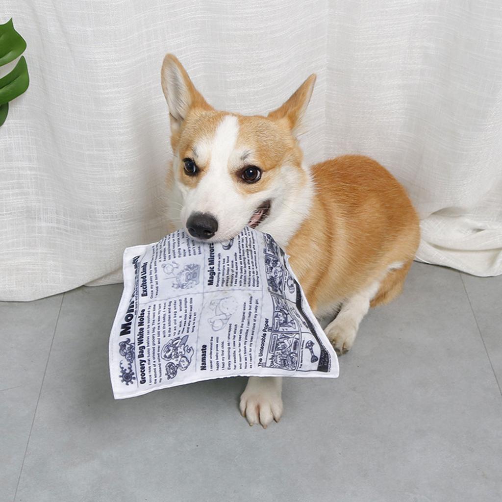 Interactive Unstuffed Dog Chew Toy for Small and Medium Dogs Squeak Toy Newspaper Reducing Boredom & Anxiety