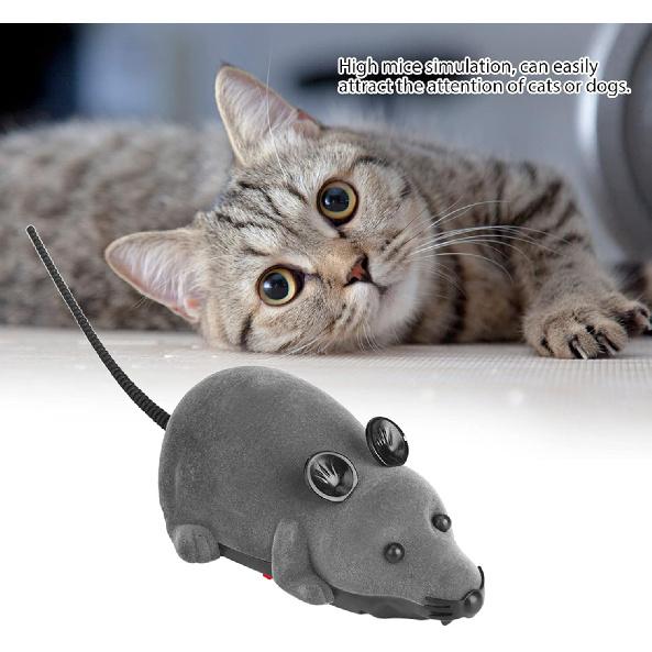 Remote Control Toy for Cats, Electronic Rat Toy for Kitten Funny Chasing Simulation Animal Toys Pet Novelty Gift(Gray)