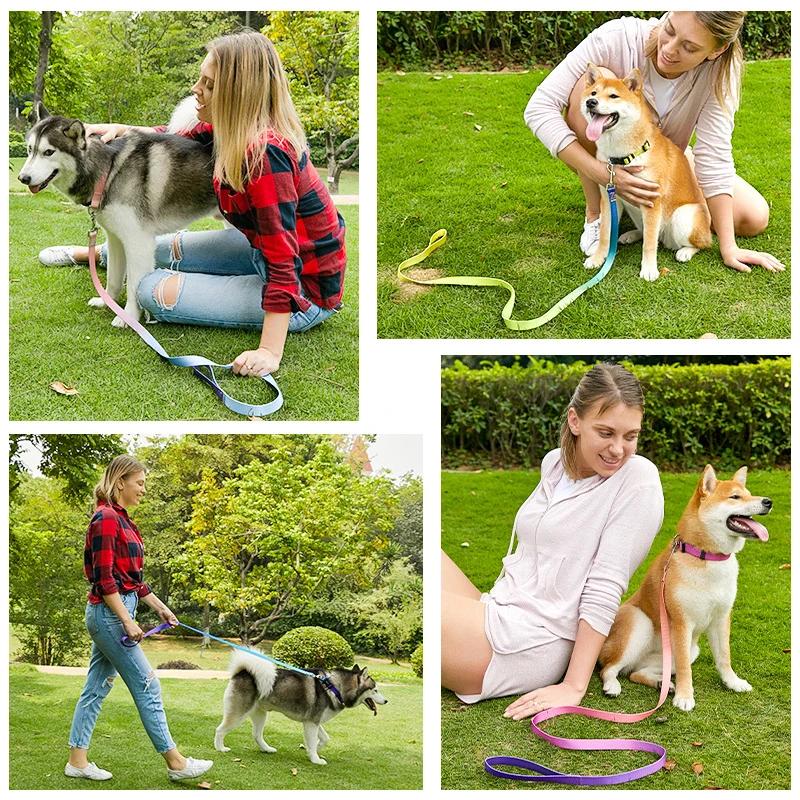 Nylon Adjustable Dog Collar Leash Lead Pet Cat Dog Collar Traction Leash Suitable For Small Large Dogs Bulldog Pugs Beagle