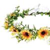 Bridal Flower Crown Fairy Style Flower Crown Artificial Flowers Eucalyptus Leaf Chaplet Head Wreath for Weddings Beach Vacation Photo Props