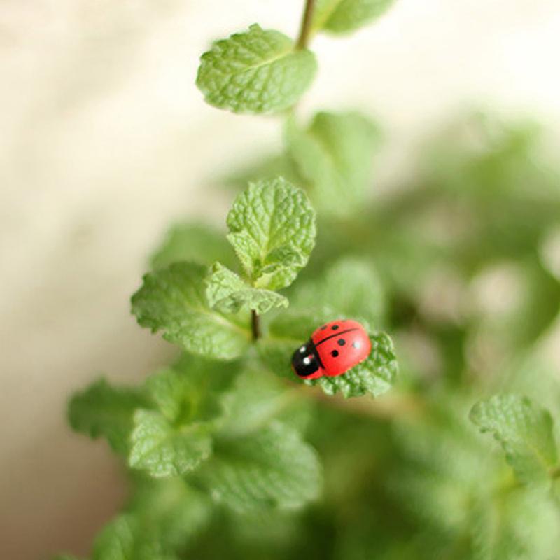 50/100Pcs Mini Wooden Ladybird Ladybug Self-Adhesive Sticker Children Painted Diy Crafts Fairy Garden Figurine Miniature Home De