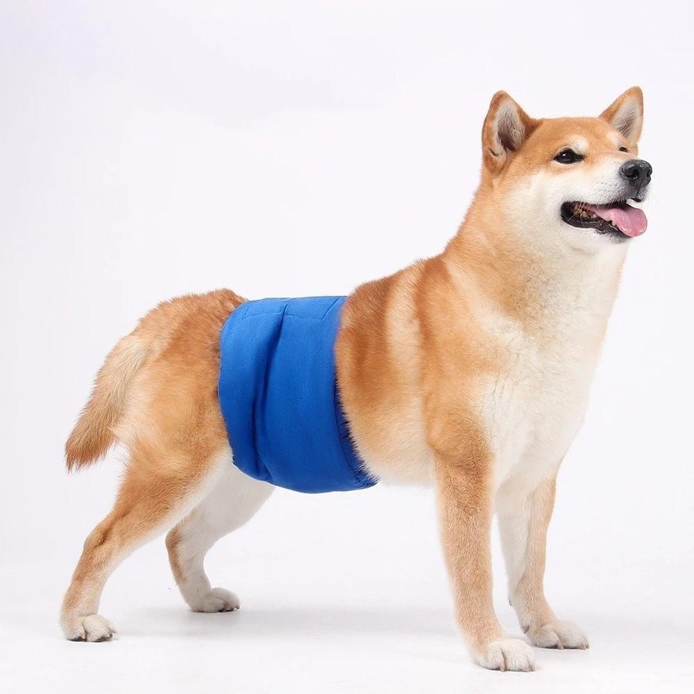 Breathable Dog Physiological Pants Washable Leak-proof Male Dog Diapers Comfortable High Absorbing Pet Underwear Heat Season