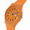 Watch TRENDY LINES IN SIENNA SO28O703 Orange [Swatch]