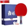 DHS NO2 All-Round Table Tennis Racket