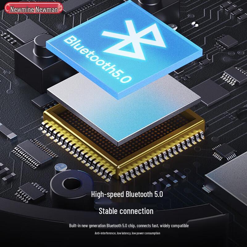 Newmine BT31 Portable Bluetooth Speaker